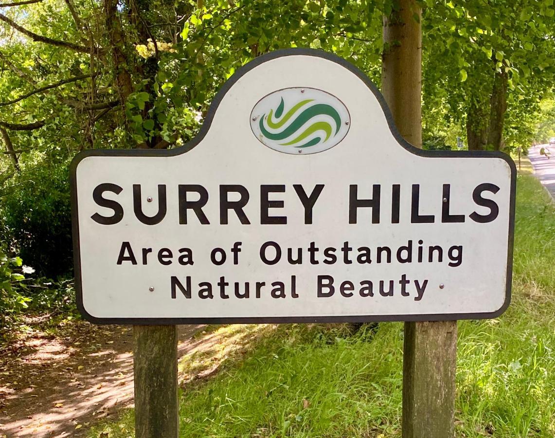 Ranmore Rise Retreat In The Surrey Hills Ντόρκινγκ Εξωτερικό φωτογραφία