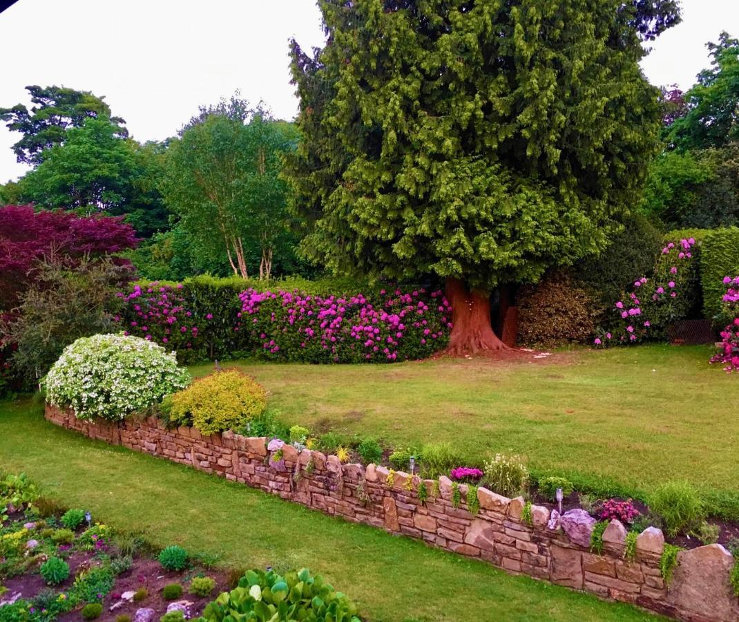 Ranmore Rise Retreat In The Surrey Hills Ντόρκινγκ Εξωτερικό φωτογραφία